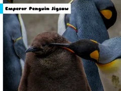 Гульня Emperor Penguin Jigsaw онлайн