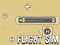 Гульня Flight Sim онлайн