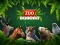 Гульня ZOO Trivia онлайн
