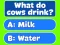 Гульня Trivia! Best Family Quiz онлайн