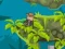 Гульня Indi Cannon Players Pack онлайн