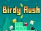 Гульня Birdy Rush онлайн