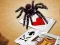 Гульня Jumping Spider онлайн