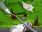 Гульня Monte's Zott: Flight on a spoon онлайн