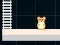 Гульня Hamster Grid Even Odd онлайн