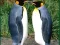 Гульня Penguin Puzzle онлайн