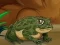Гульня Frogs Matching онлайн