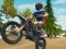 Гульня Dirt Bike Enduro Racing онлайн