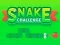 Гульня Snake Challenge онлайн