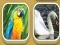 Гульня Match Zoo онлайн