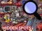 Гульня Hidden Spots In The Room онлайн
