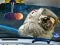 Гульня Space Find The Differences онлайн
