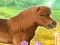 Гульня My Dear Pony онлайн
