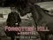 Гульня Forgotten Hill Memento: Run Run little Horse онлайн