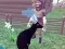 Гульня Deer Simulator 3D онлайн