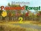 Гульня Mysterious Password Forest Autumn Edition 2 онлайн