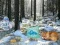 Гульня Winter Wonderland Forest Adventure онлайн