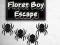 Гульня Floret Boy Escape онлайн