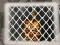Гульня Tiger Escape 1 онлайн