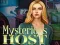 Гульня Mysterious host онлайн