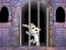 Гульня Victory Rabbit Escape онлайн