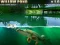 Гульня Willow Pond онлайн