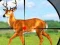 Гульня Wild Hunt Hunting Games 3D онлайн