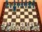 Гульня Chess Master 3D онлайн
