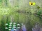Гульня Sunlight Forest Adventure онлайн
