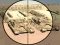 Гульня Camo Sniper онлайн