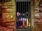 Гульня Hidden Cat Escape онлайн