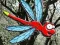 Гульня Escape From Dragonfly Forest онлайн