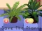 Гульня Save the Plants онлайн