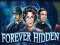 Гульня Forever Hidden онлайн