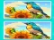 Гульня Spot the Difference The Garden онлайн