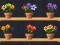 Гульня Good Flower Master онлайн