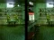 Гульня Robot Bar Spot the differences онлайн