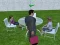 Гульня Millionaire Simulator 2024 онлайн