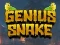 Гульня Genius Snake онлайн