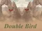 Гульня Double Bird онлайн