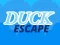 Гульня Duck Escape онлайн