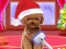 Гульня Christmas ASMR Makerover Salon онлайн