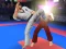 Гульня Karate Fighter онлайн