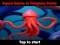 Гульня Squid Game In Dalgona Panic онлайн