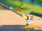 Гульня Cat Challenge онлайн