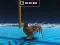 Гульня Animal Impossible Track Rush онлайн