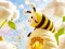Гульня Find The Differences: Little Bee's Adventure онлайн