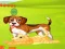 Гульня Bunny Key Quest онлайн