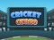 Гульня Cricket Craze онлайн
