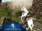Гульня Ertugrul Gazi Horse Sim онлайн